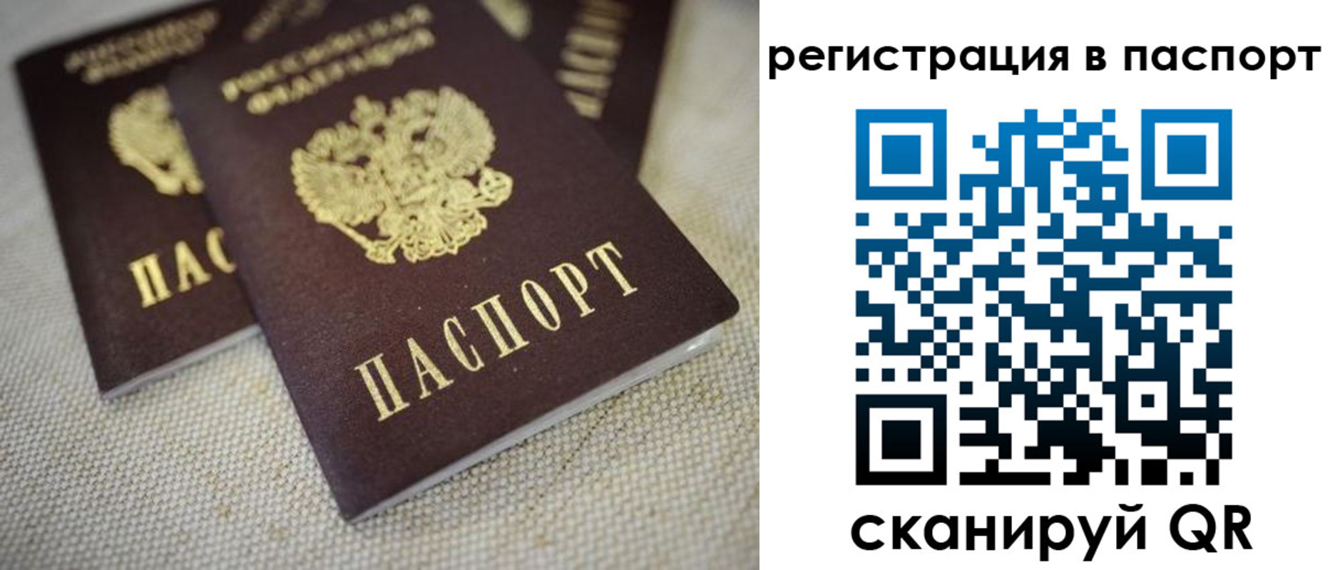 прописка гарантия в Юрьев-Польском